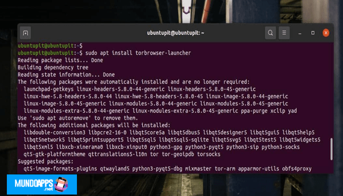 Cómo Instalar Y Configurar El Navegador Tor En Distribuciones Linux 50 Instalar el Navegador Tor a través del Repositorio Linux